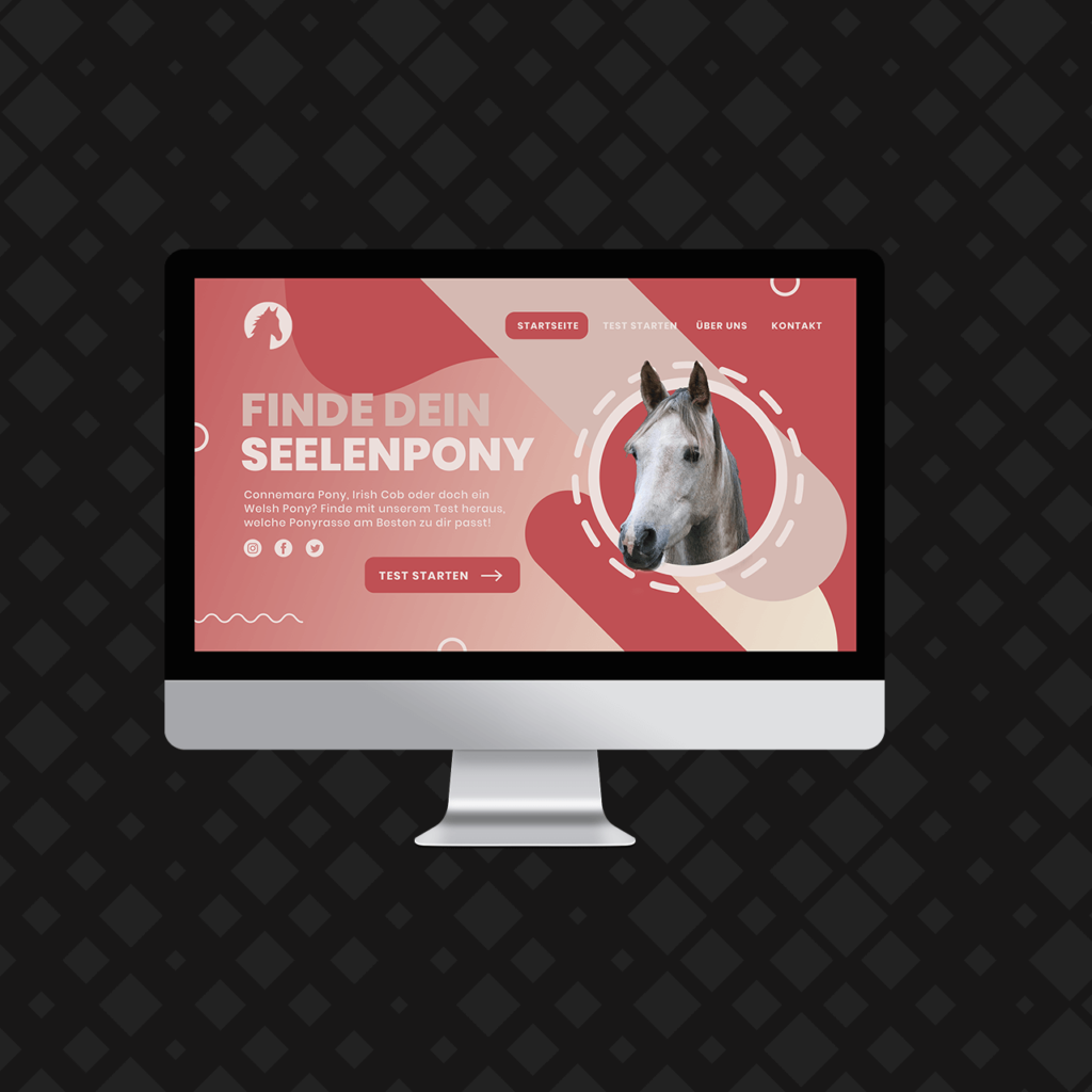 landingpage-seelenpony
